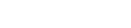 Odd Duck Market