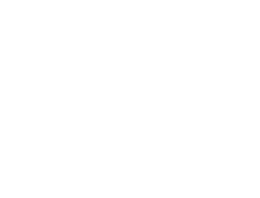 The Lynden Lane Co