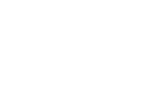 One Legged Magpie